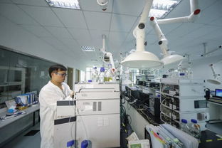 江寧生命科技小鎮(zhèn) 國(guó)家級(jí)博士后科研工作站領(lǐng)航網(wǎng)絡(luò)技術(shù)研發(fā)與服務(wù)新未來(lái)